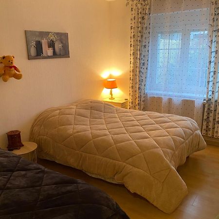 Au Coeur Des Vosges Apartman Laval-sur-Vologne Kültér fotó