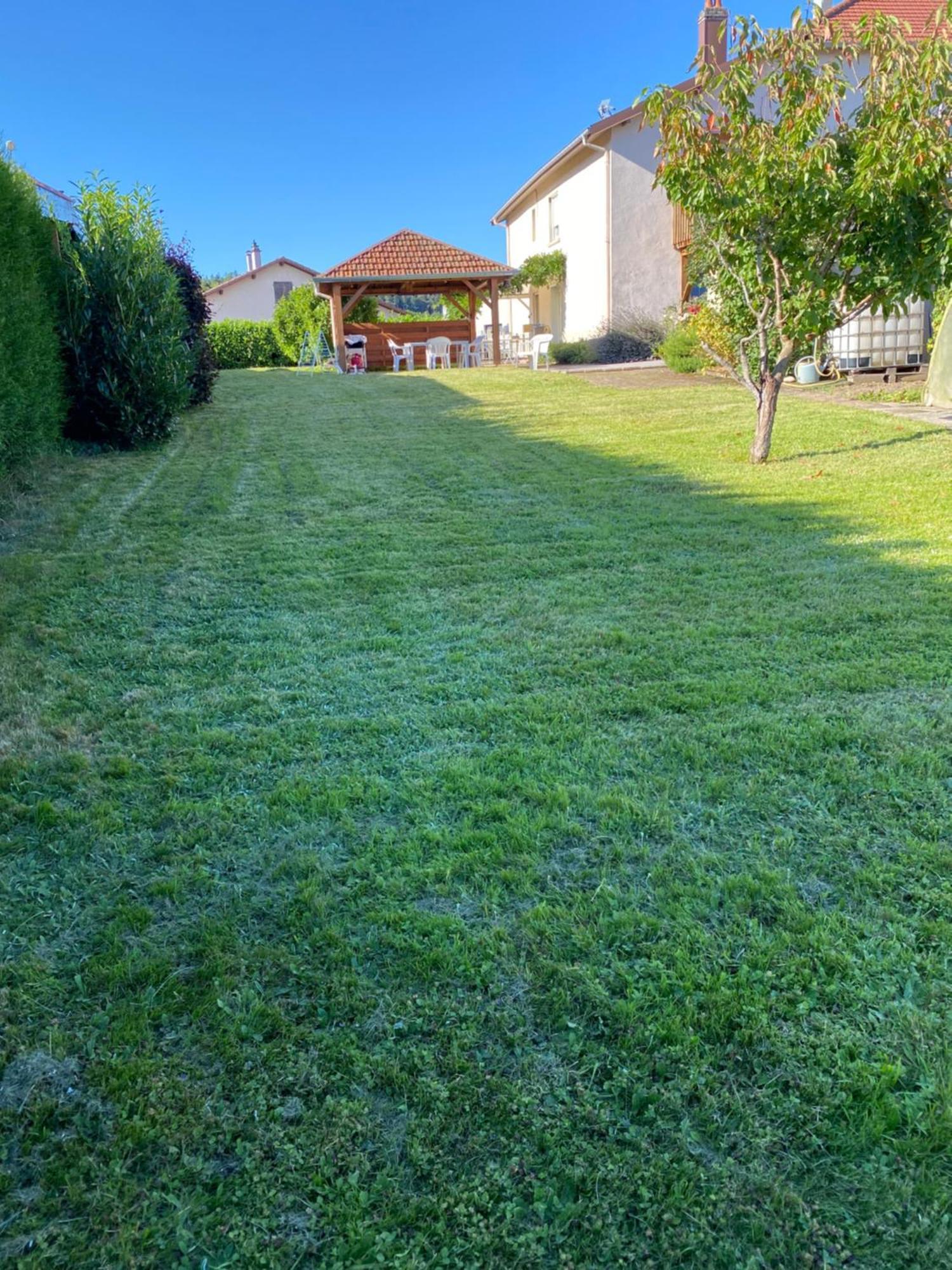 Au Coeur Des Vosges Apartman Laval-sur-Vologne Kültér fotó